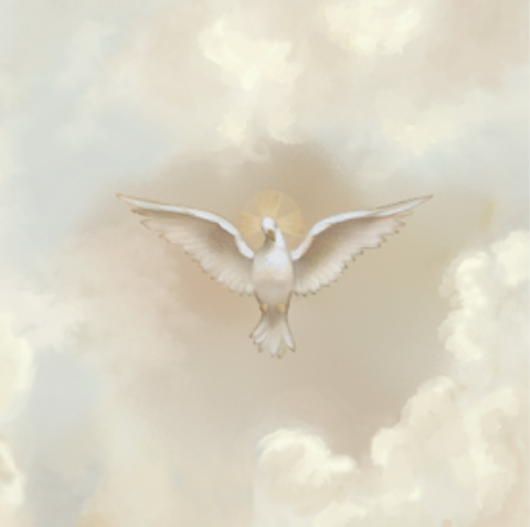 holy spirit dove