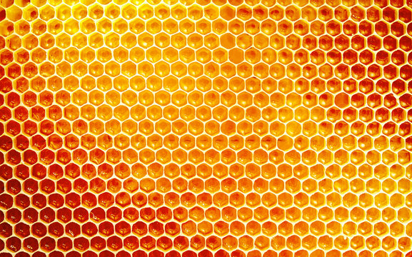 honeycomb pictures