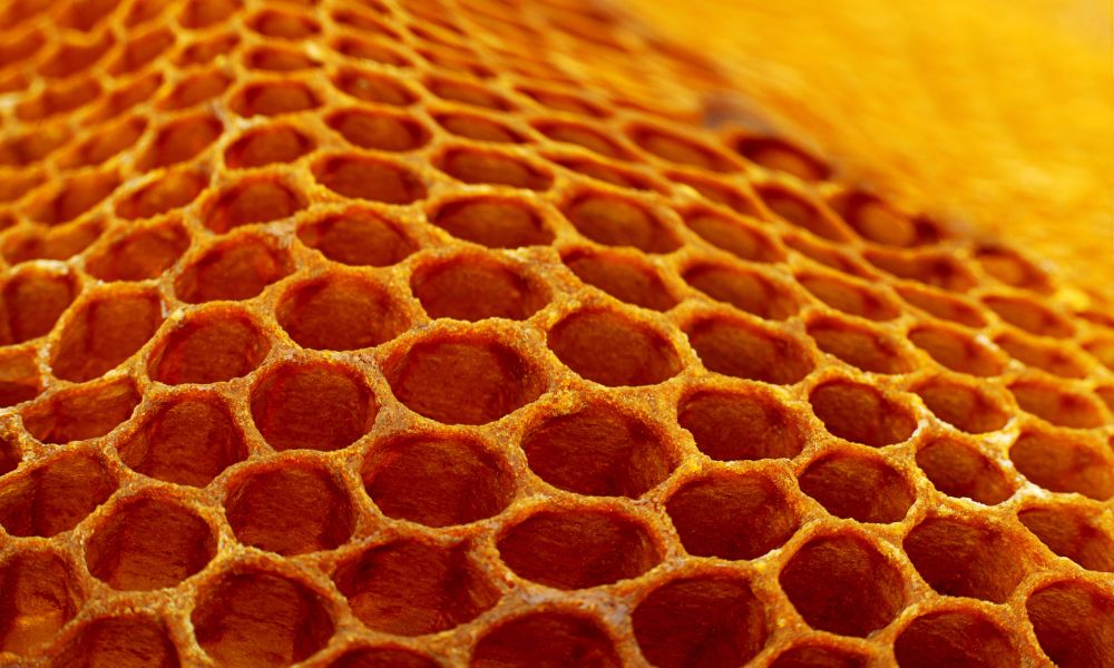 How Are Honeycombs Made and What Are They?