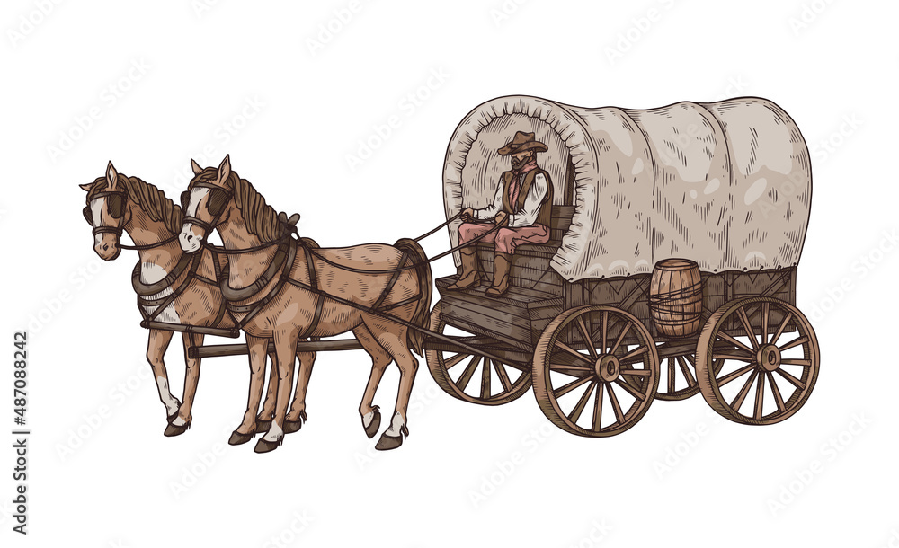 Poster, Wandbilder Old horse carriage or wagon with coachman, sketch vector  illustration isolated, 40x24.4 cm