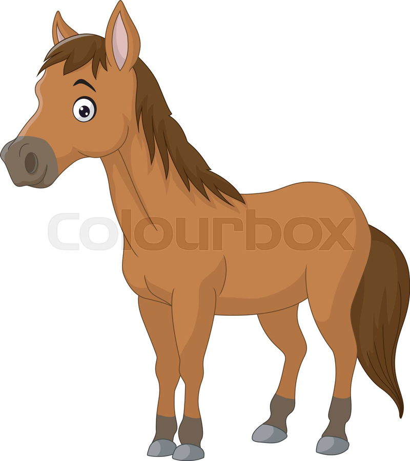 Happy Horse-cartoon | Colourbox