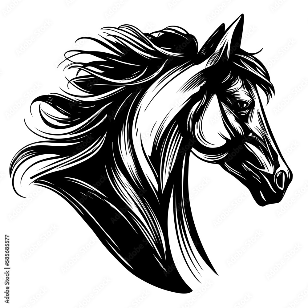 Poster, Wandbilder horse, horse head logo, hand drawn vector illustration  realistic sketch, 40x40 cm