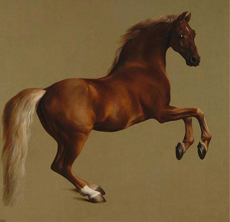 horse images in art