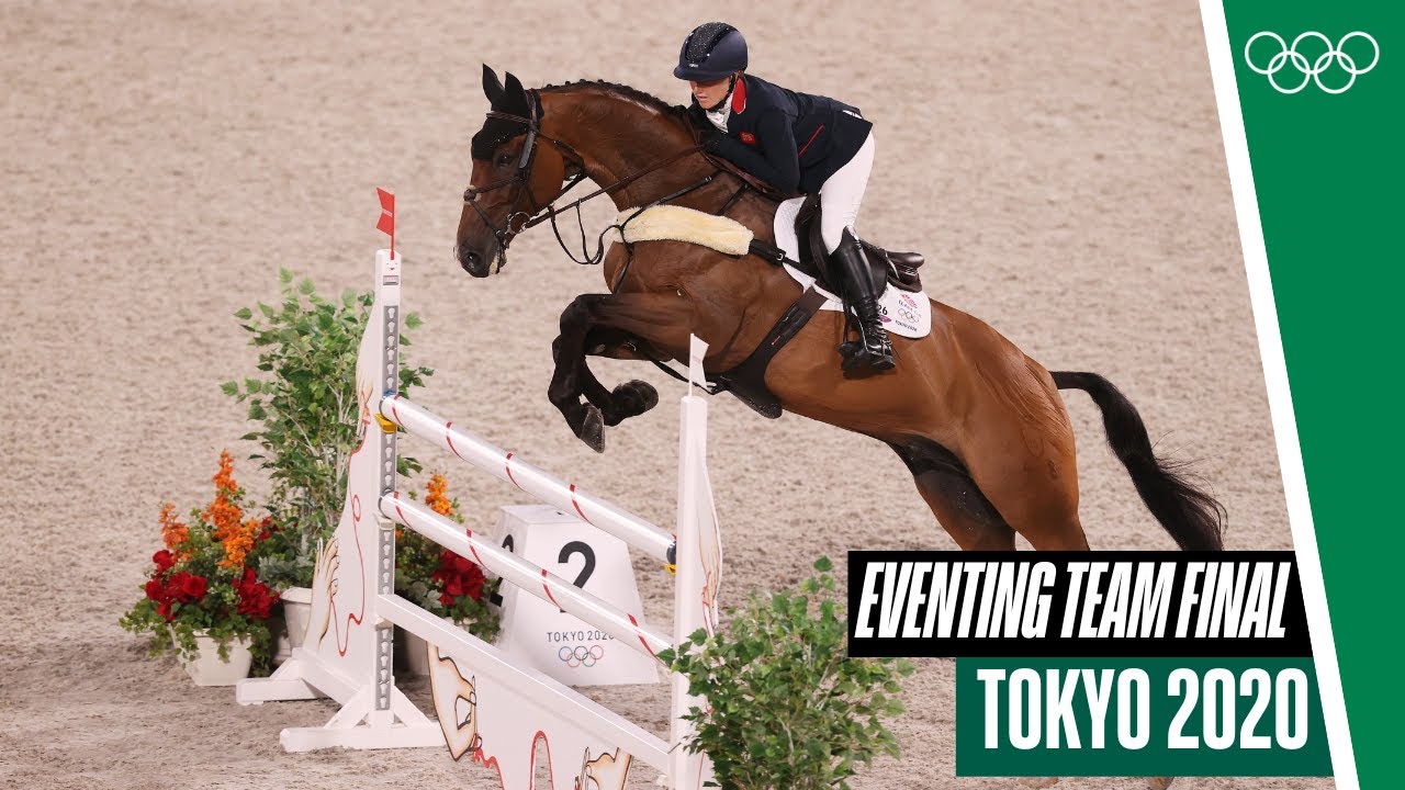 horse jumping