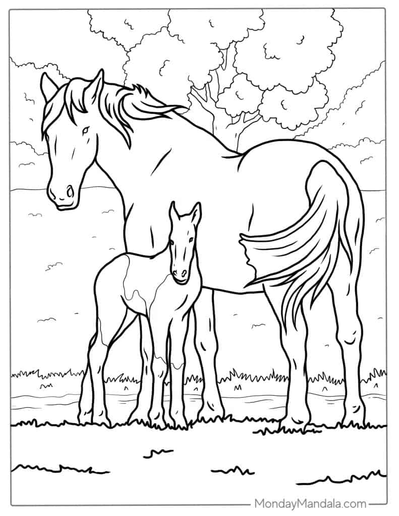 horse pics to color