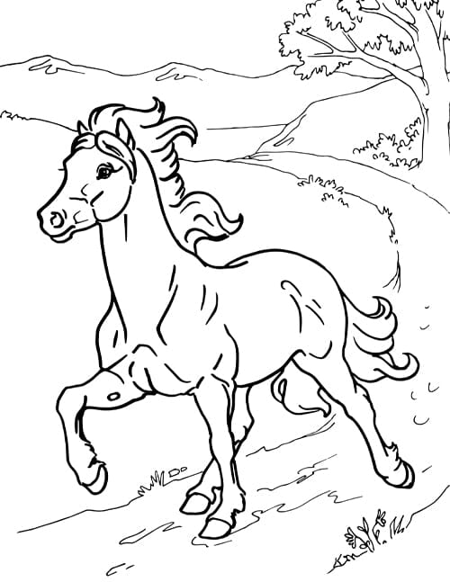 horse pics to color