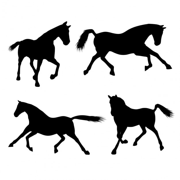 horse shadow cliparts 2024