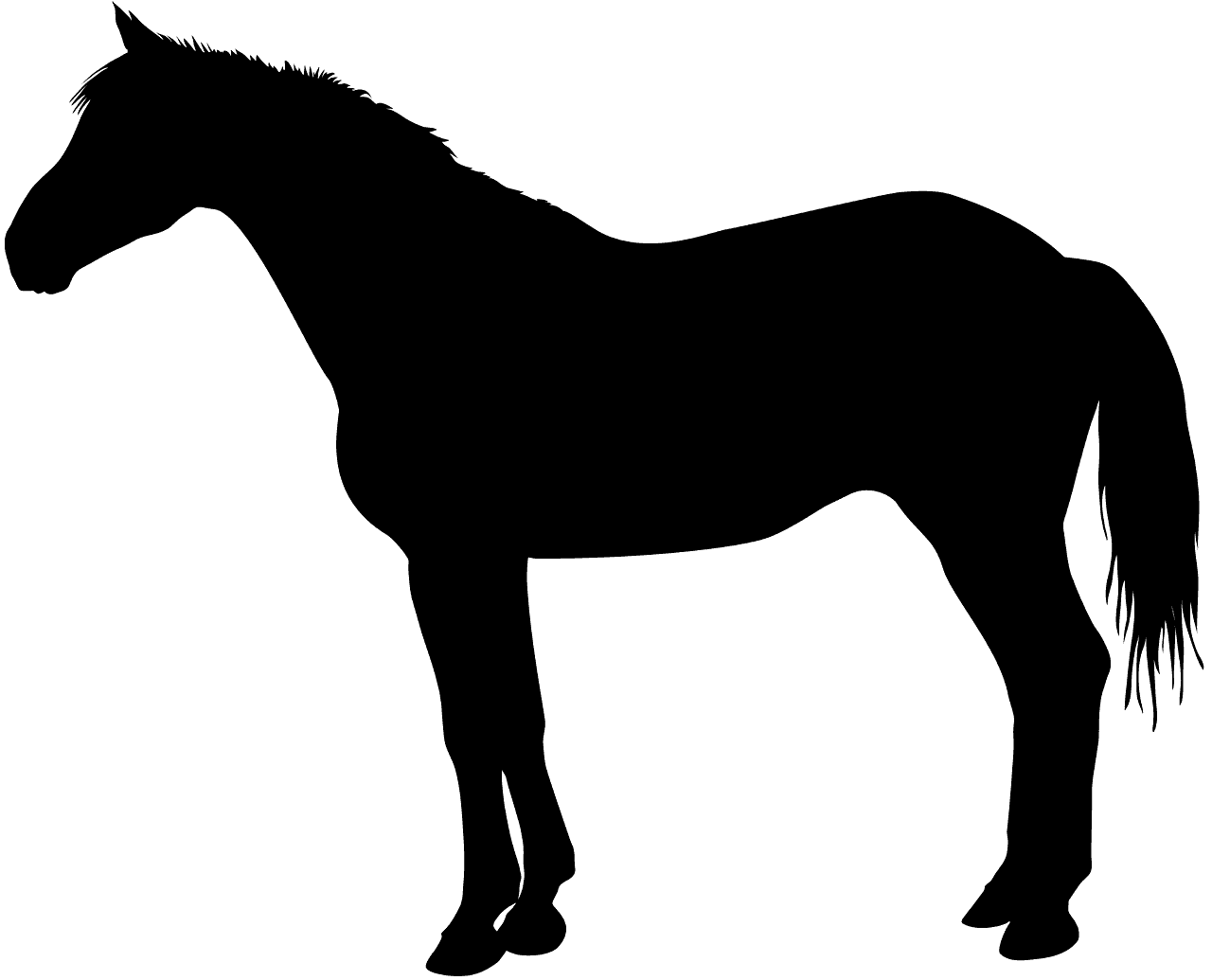 horse silhoutte