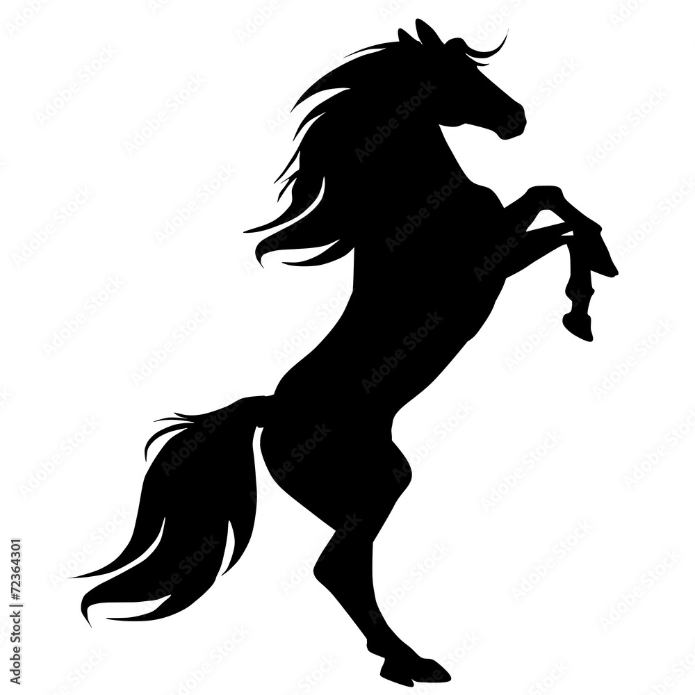 black horse silhouette 16 Stock-Vektorgrafik | Adobe Stock