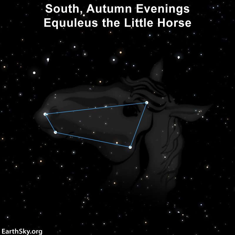 Equuleus the Little Horse on autumn nights