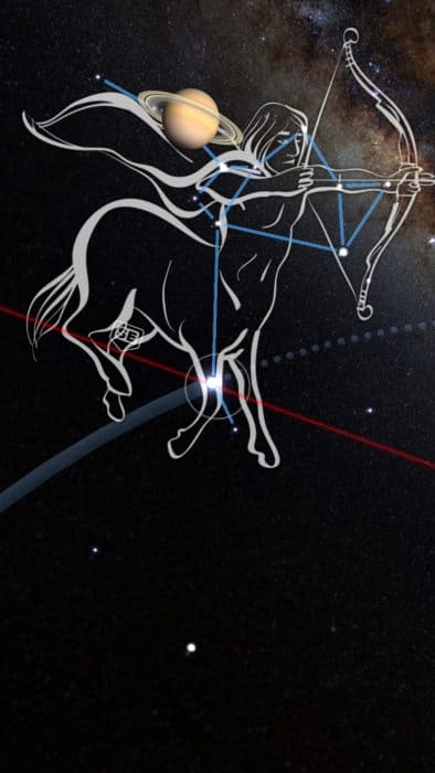 Some Horses Are Stars – WARHorses