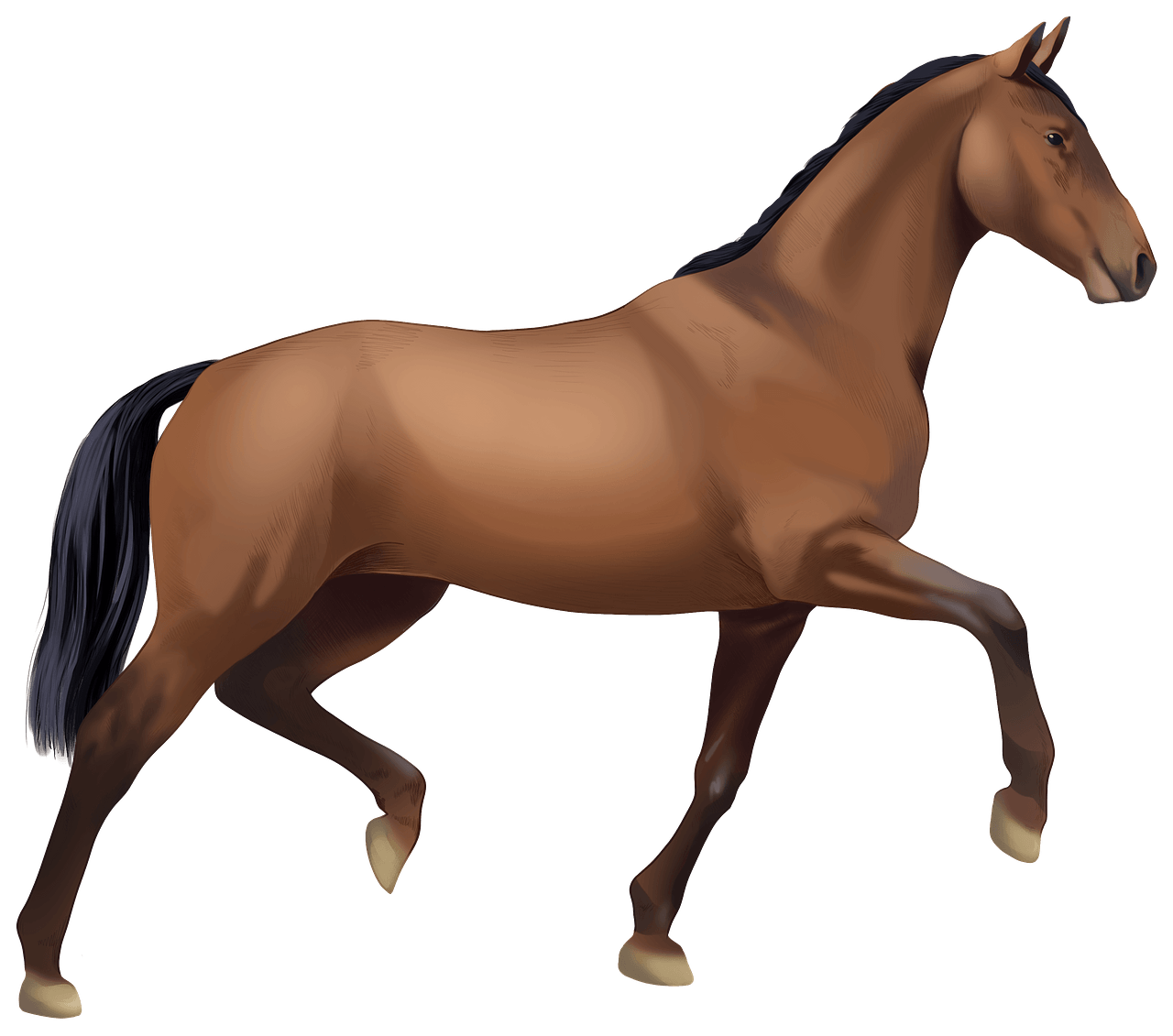 horses cliparts free 2024