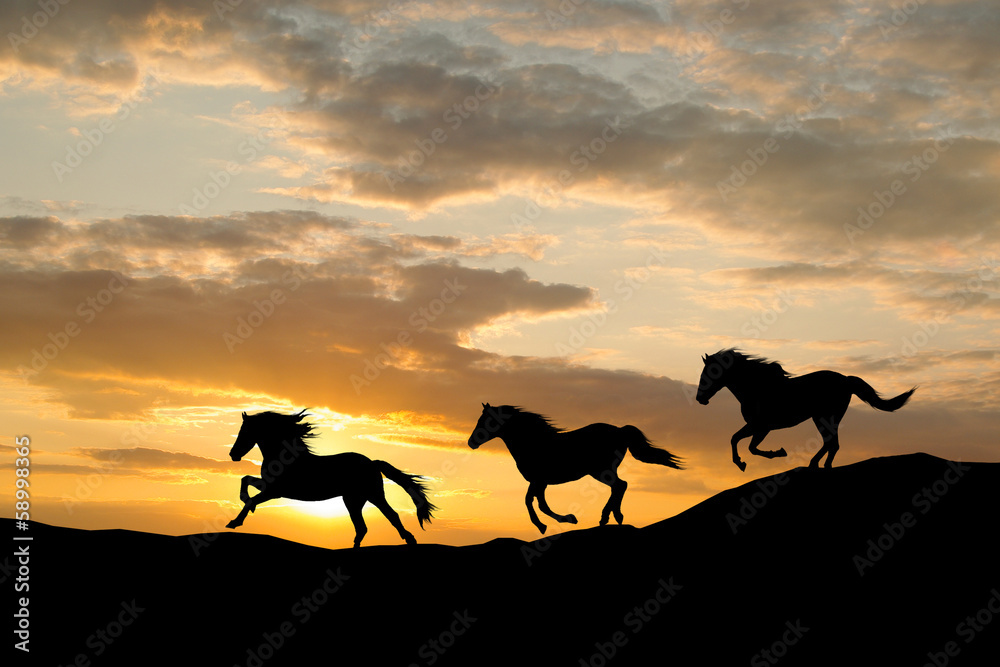 horses running silhouette