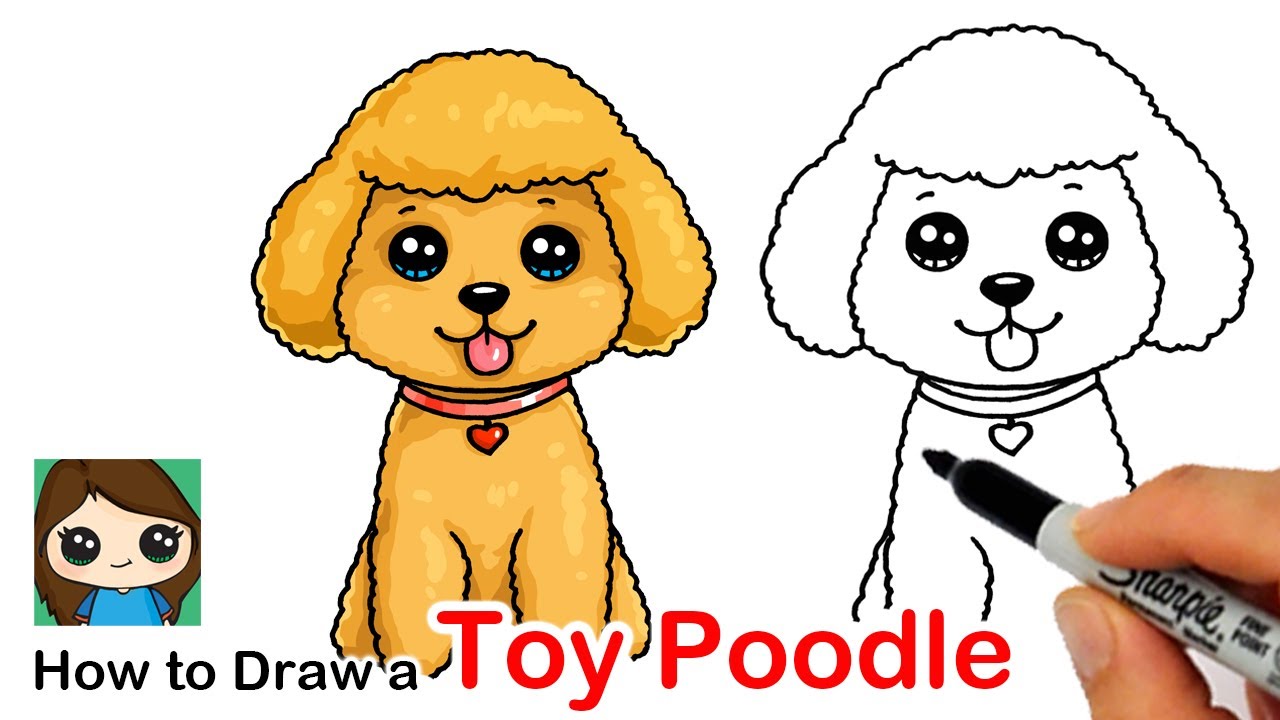 how to draw a cartoon poodle