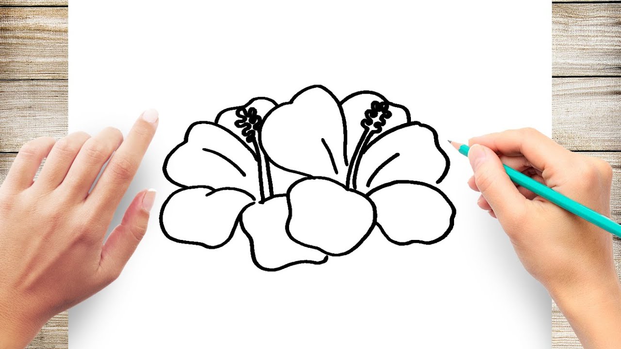 how to draw a hawaiian flower