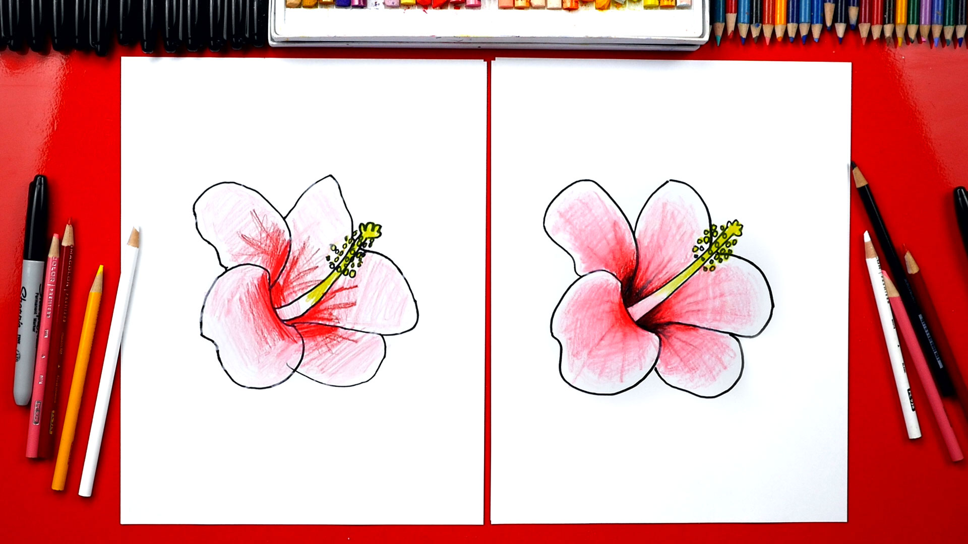 How To Draw A Hibiscus Flower - Art For Kids Hub -
