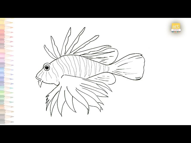 how to draw a lionfish step by step