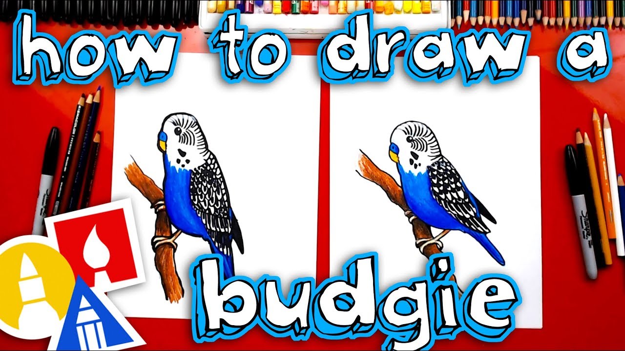 how to draw a parakeet