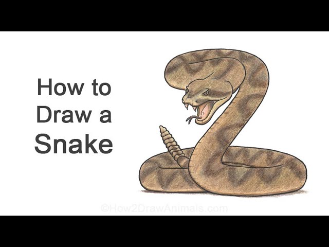 how to draw a rattlesnake