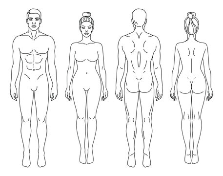 Human Body Drawing Images – Browse 11,146,925 Stock Photos ...