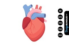 human heart clipart 2024