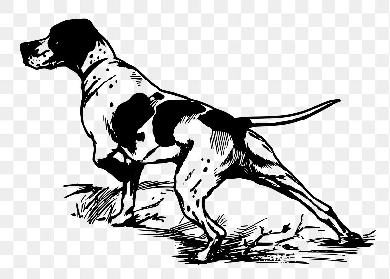 hunting dog cliparts