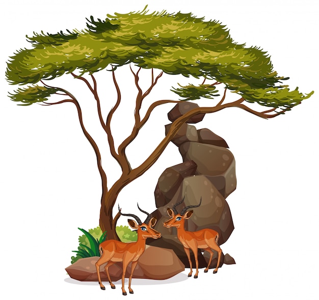 hunting scene cliparts 2024