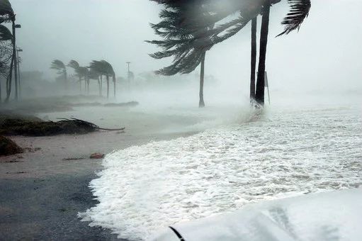 Storm and Hurricane Risk for Homes and Property / ClimateCheck