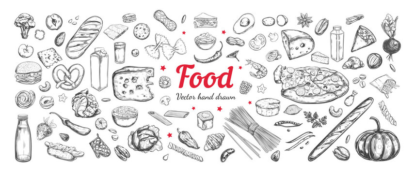 illustrations of food