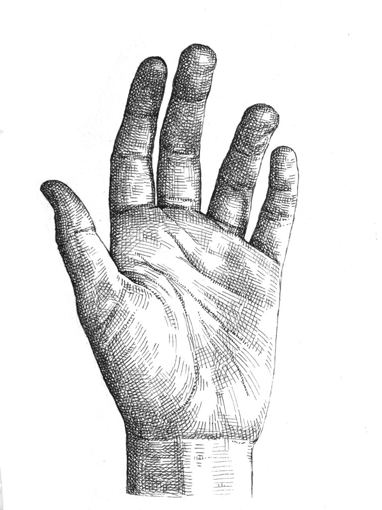 Crosshatching: How to draw a hand - Artists &amp; Illustrators