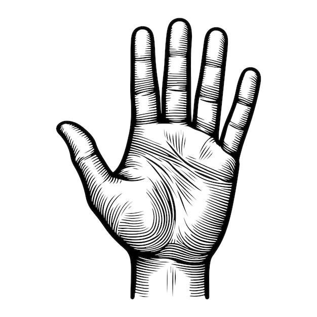 Hand Bilder - Kostenloser Download auf clipart library