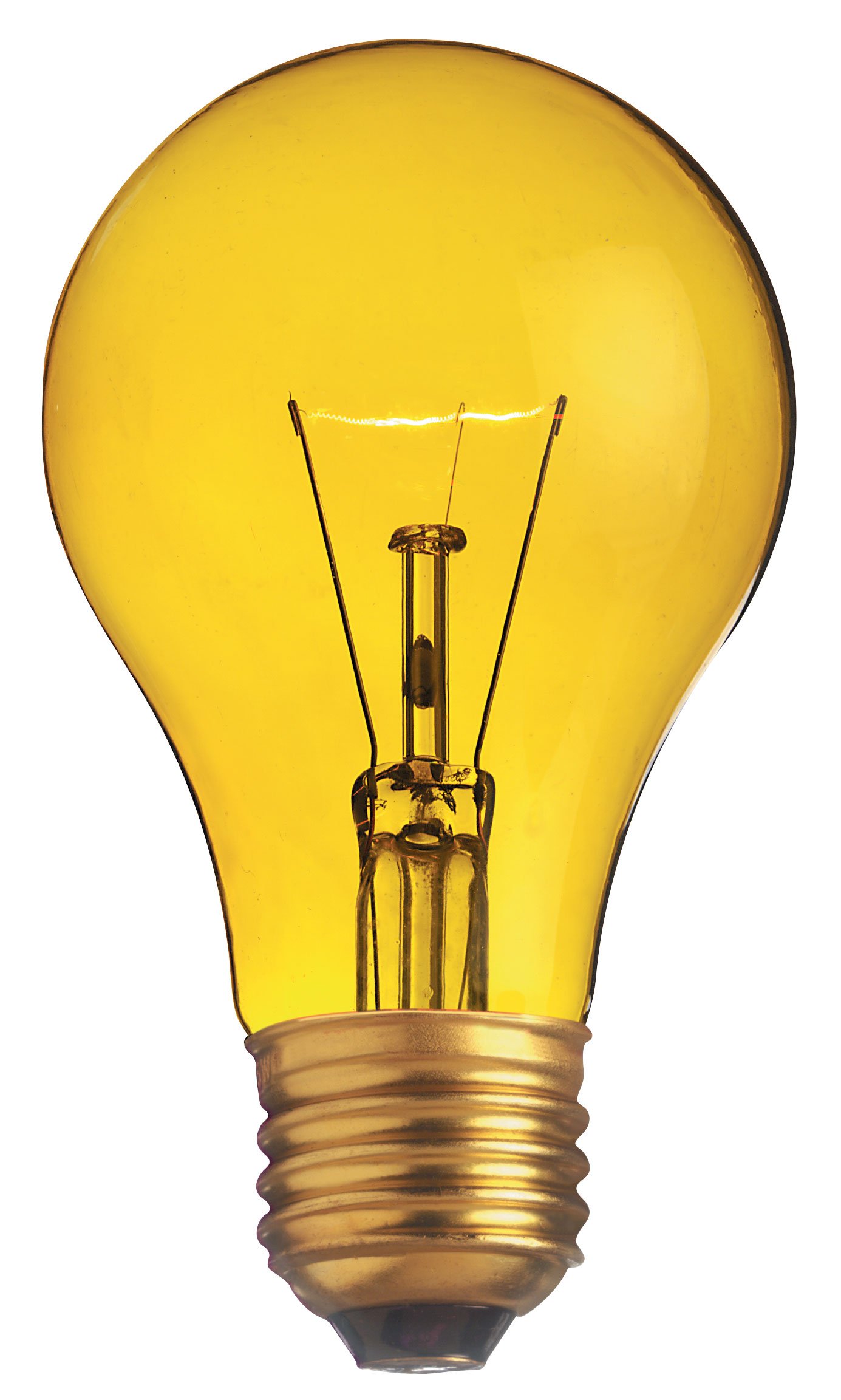 Satco S6083 25 Watt A19 Incandescent Light Bulb, Transparent ...