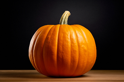103 Free CC0 Pumpkin Stock Photos - StockSnap.io