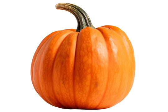 Pumpkin Images – Browse 4,679,468 Stock Photos, Vectors, and Video ...