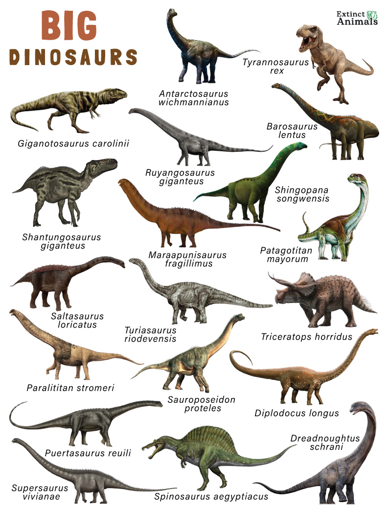 image of dinosaurs