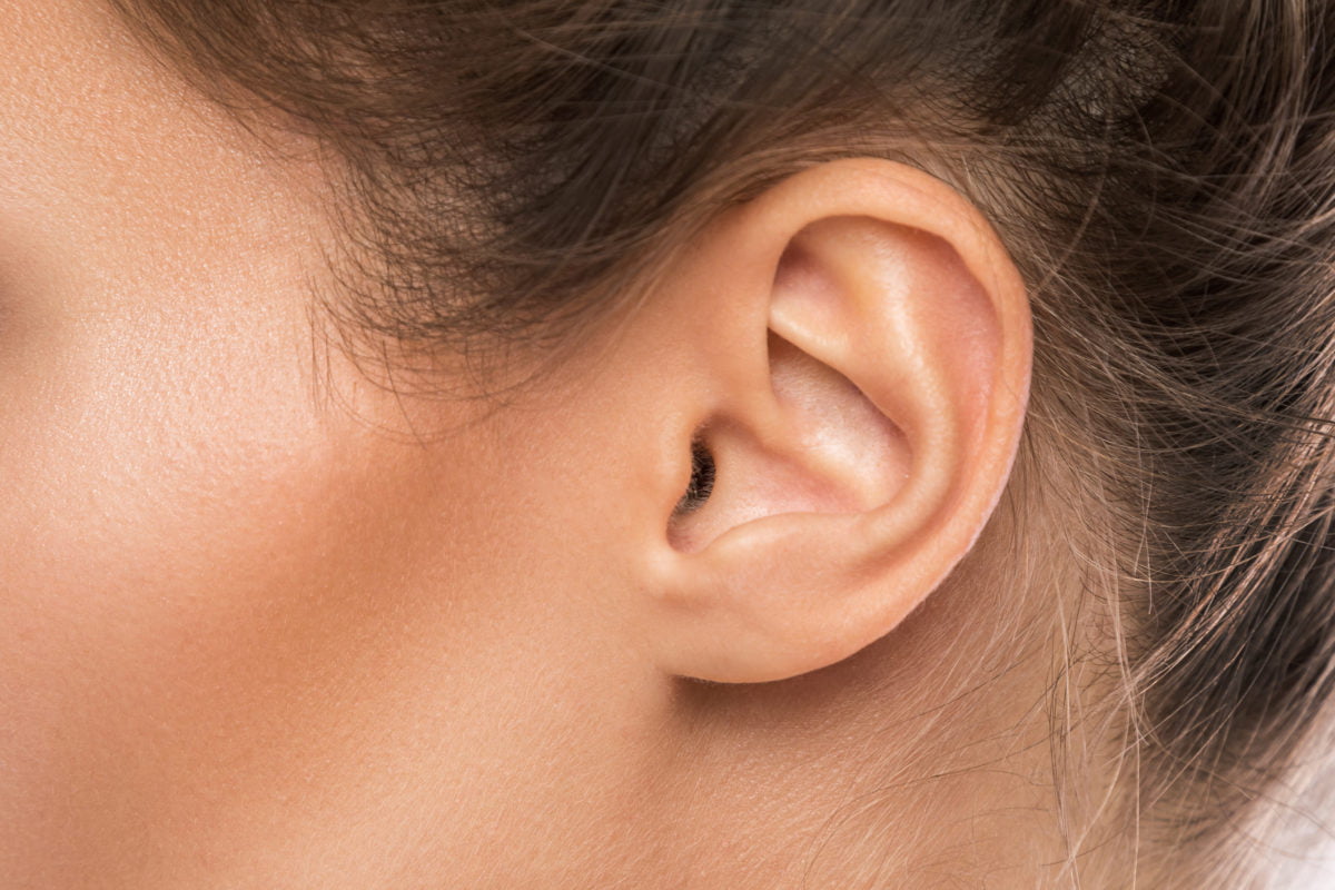 image of ear