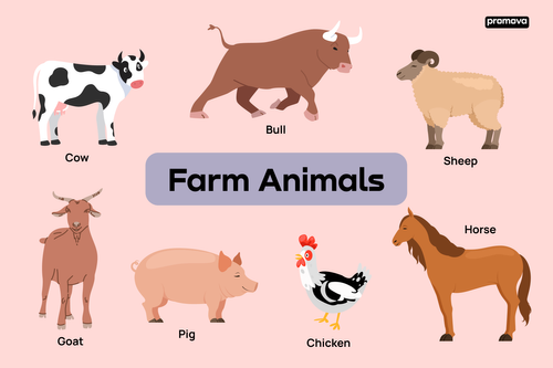image of farm animals