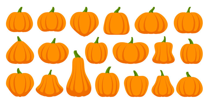 image of pumpkin