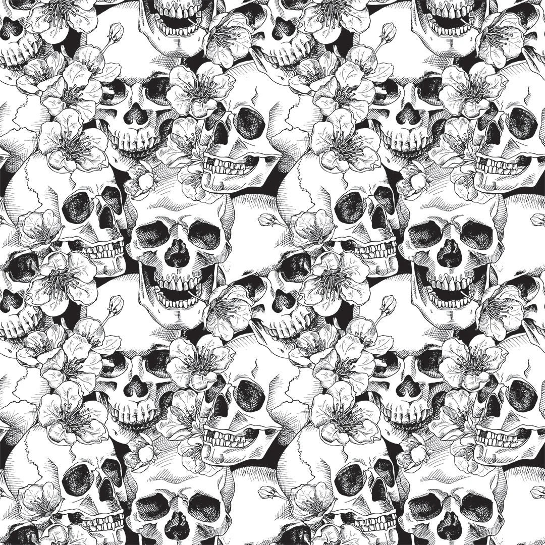image of skulls