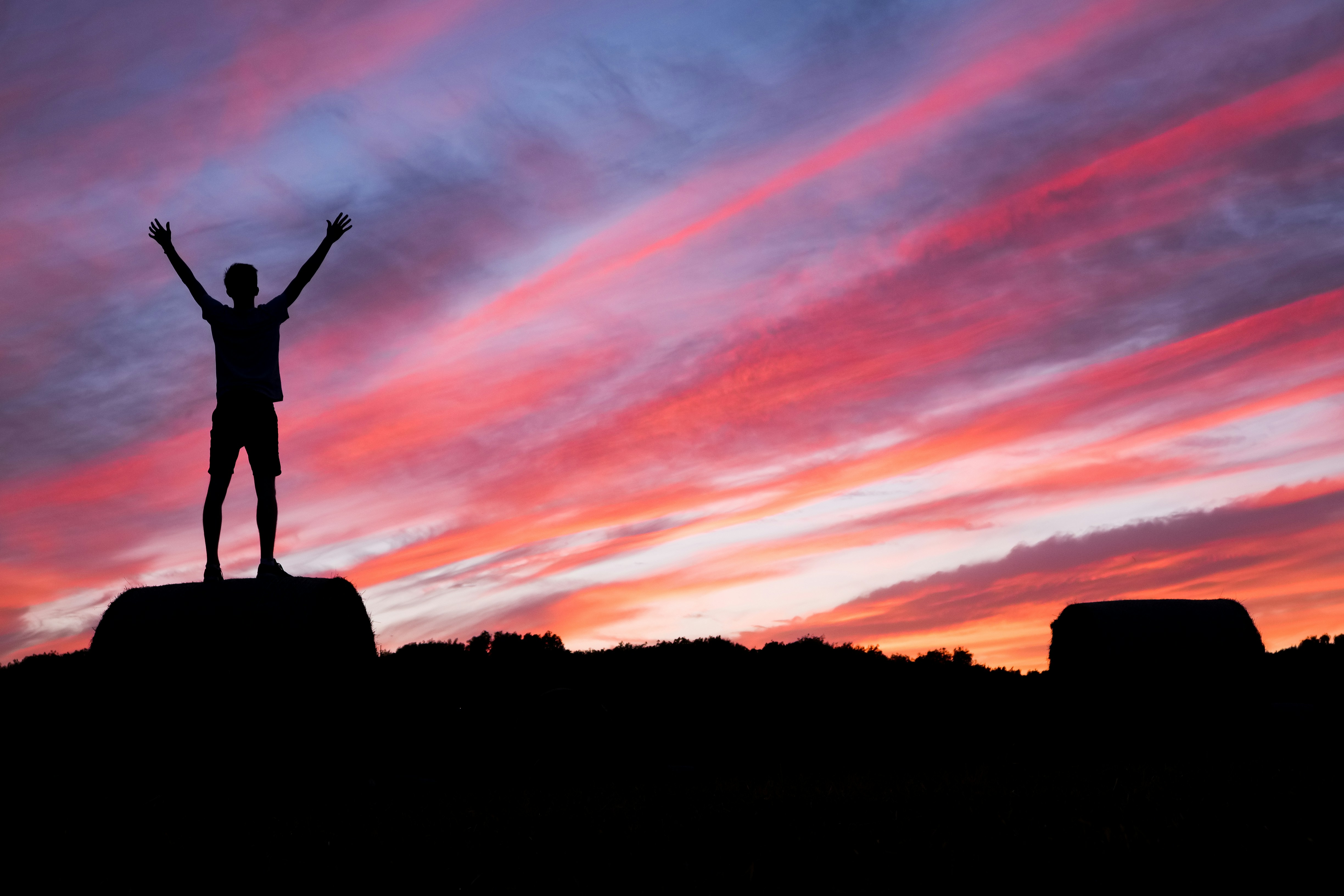 500+ Silhouette Pictures [HD] | Download Free Images on Unsplash
