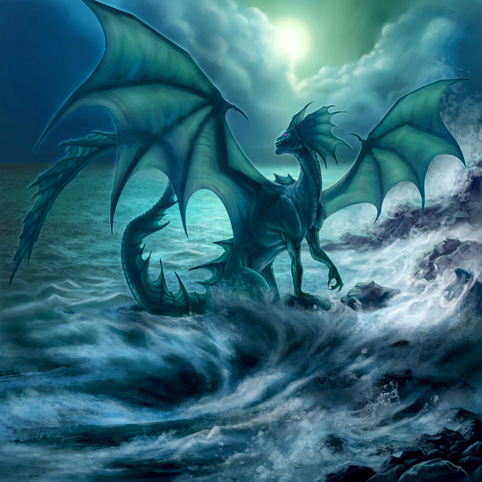 Black Dragon at Beach