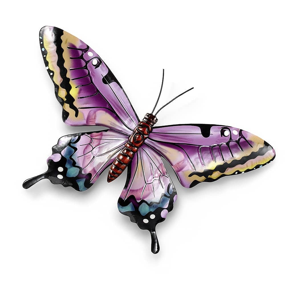 images for butterflies