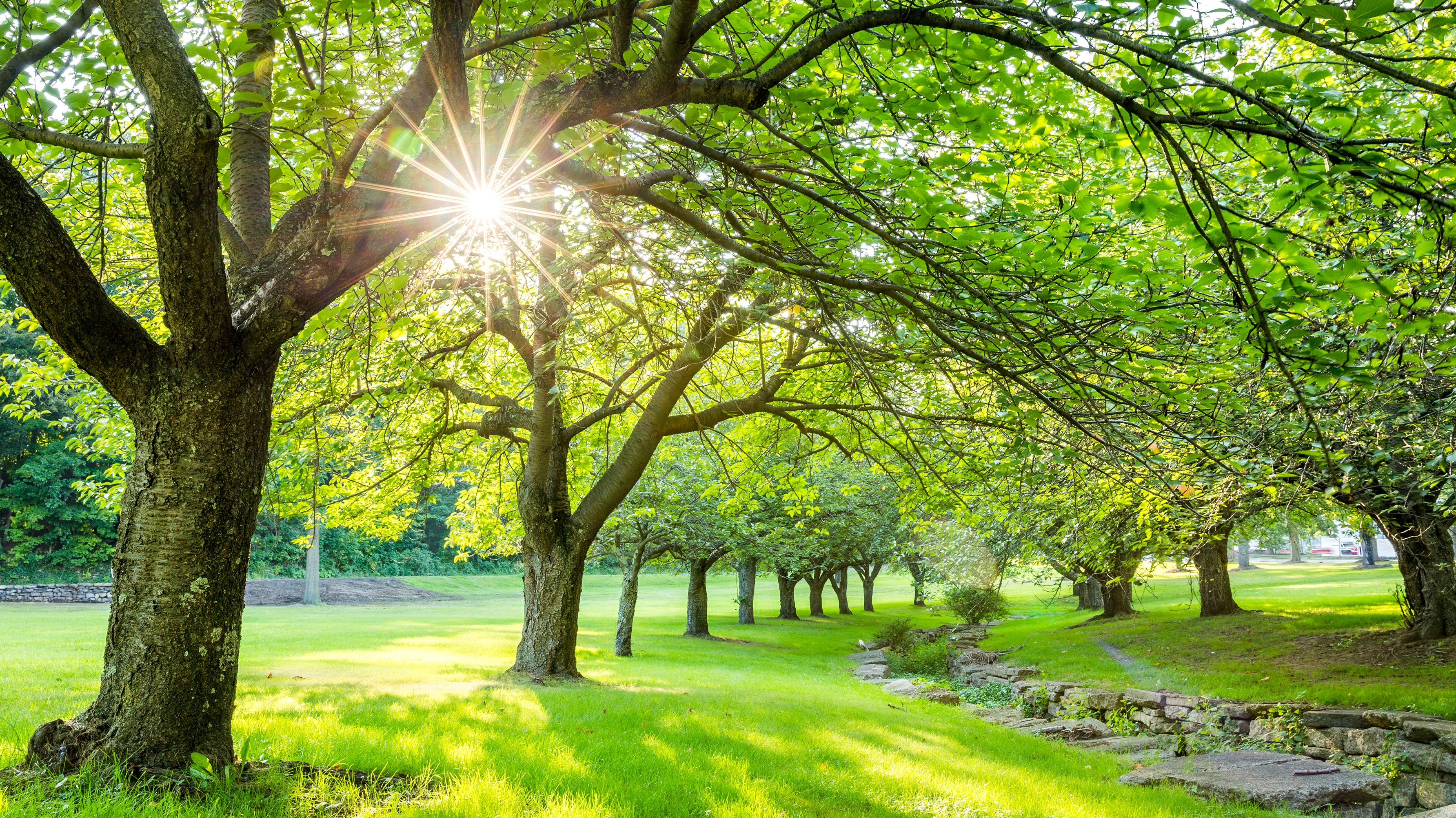 Summer: The season that reminds us to come alive | CNN