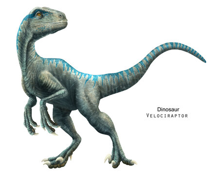 images of a dinosaur