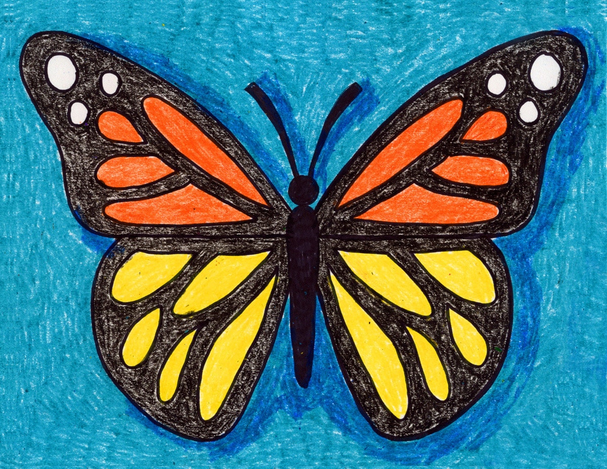 images of butterfly
