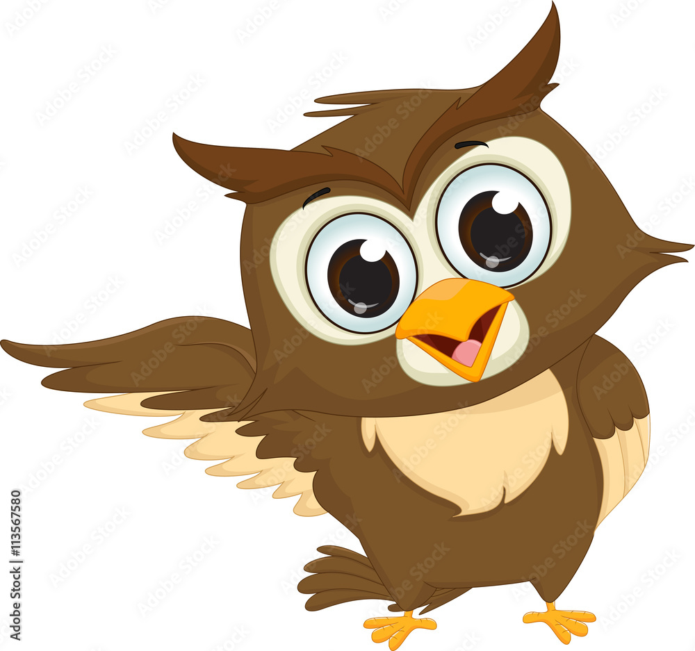 images of cartoon owls