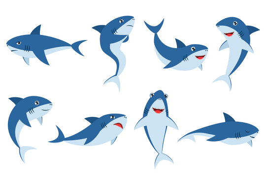 images of cartoon sharks