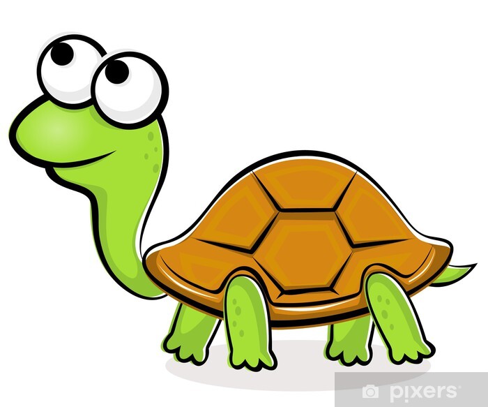 images of cartoon turtles