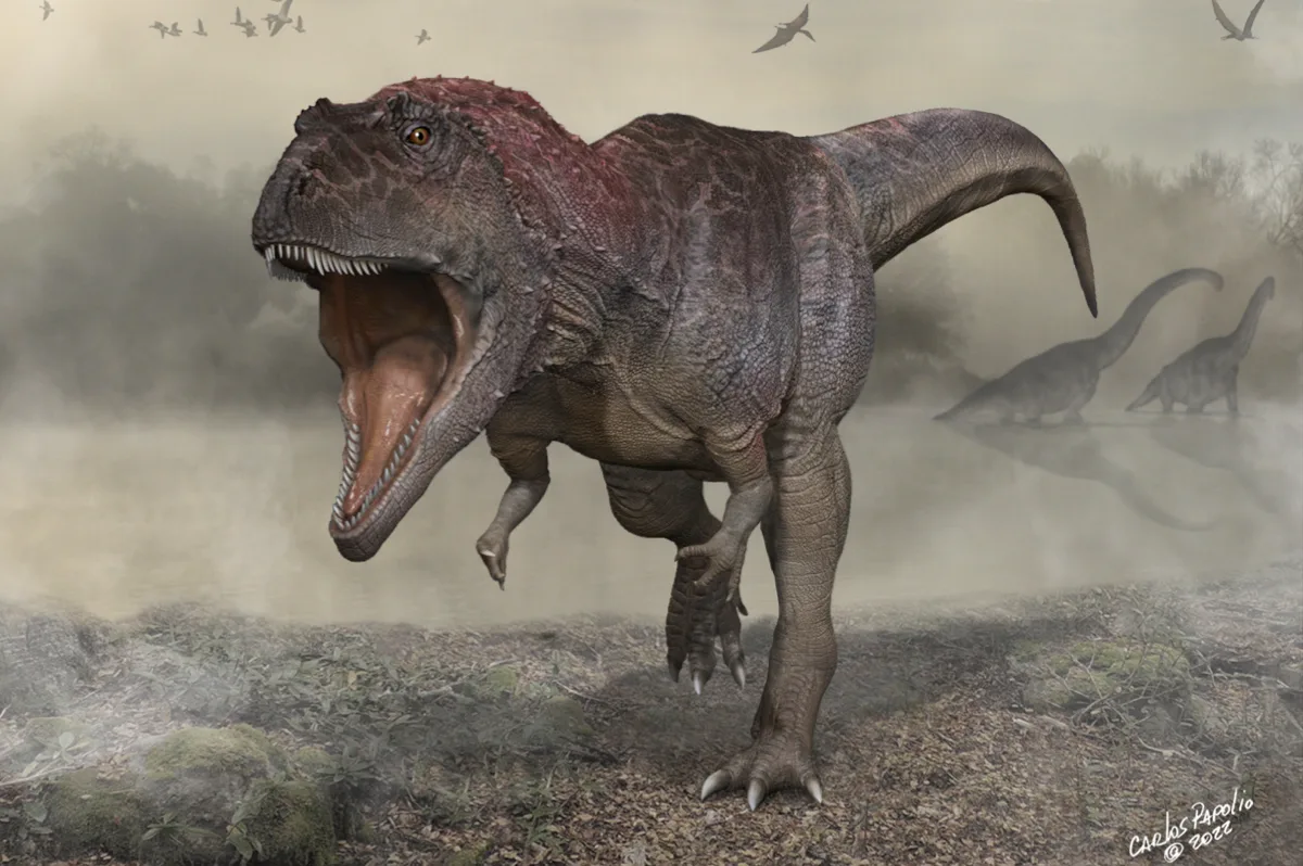 Absolutely everything you want to know about dinosaurs - BBC ...