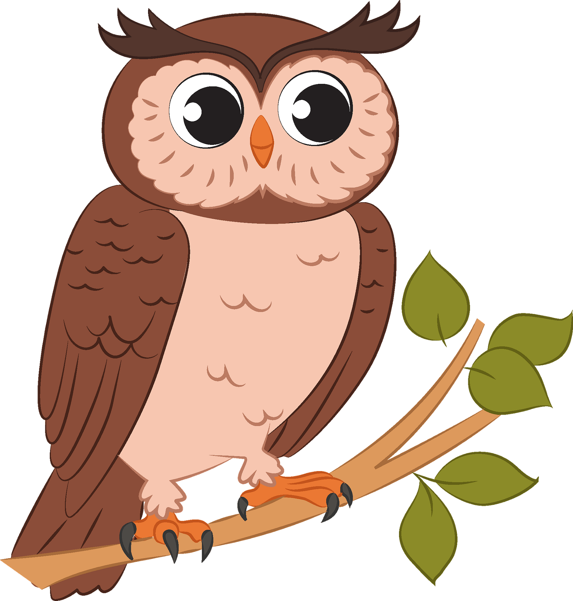images of owls clipart